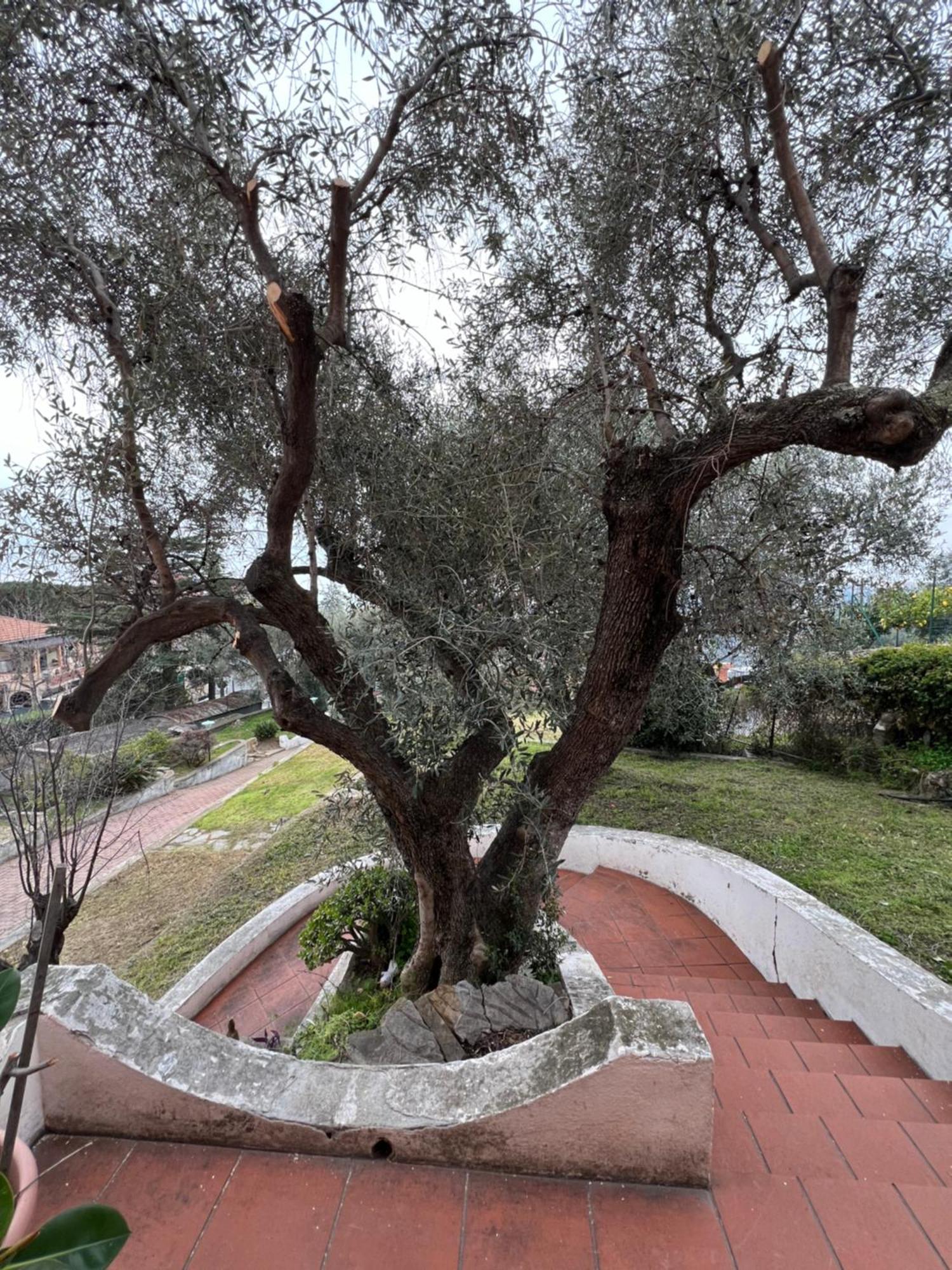 Villa In Collina Vista Mare Sanremo Exterior photo