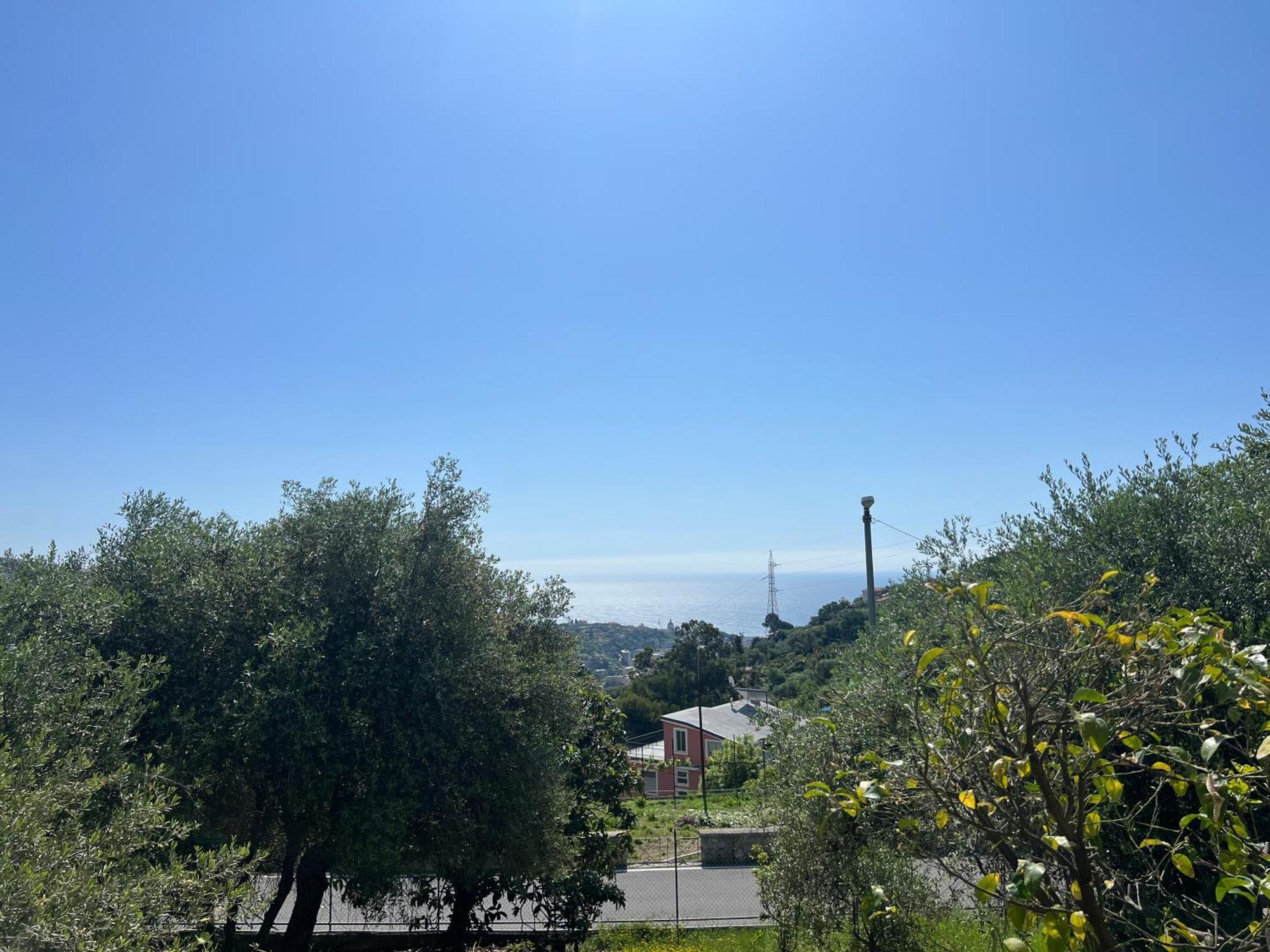 Villa In Collina Vista Mare Sanremo Exterior photo